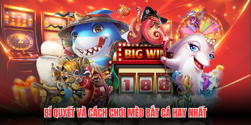 Bí quyết và cách chơi Mèo bắt cá hay nhất