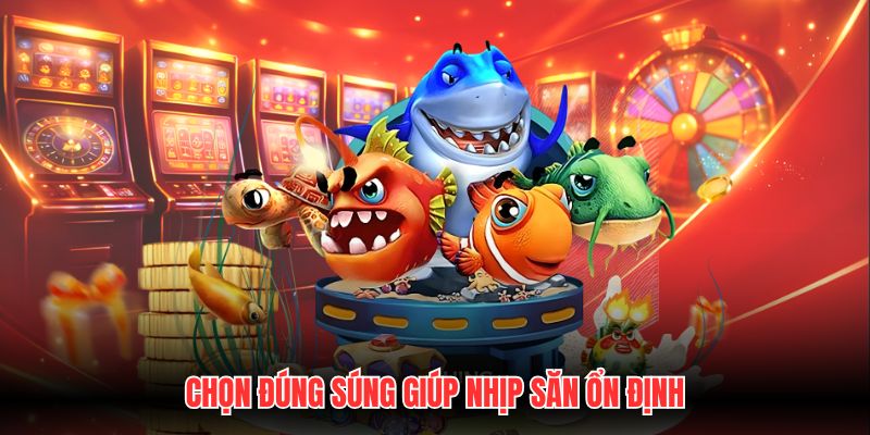 Chọn đúng súng giúp nhịp săn ổn định