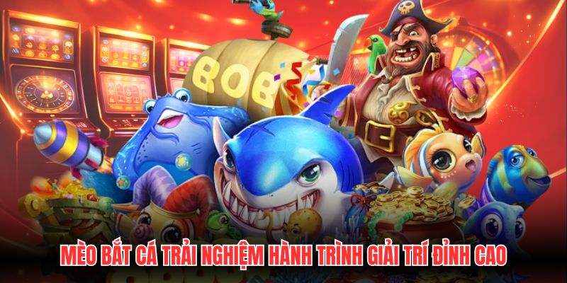 Mèo bắt cá trải nghiệm hành trình giải trí đỉnh cao