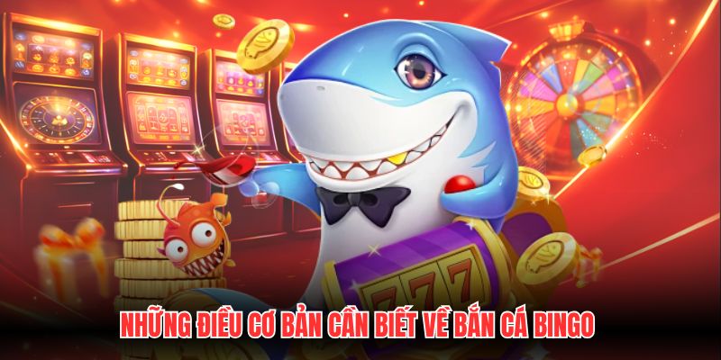 Những điều cơ bản cần biết về bắn cá Bingo